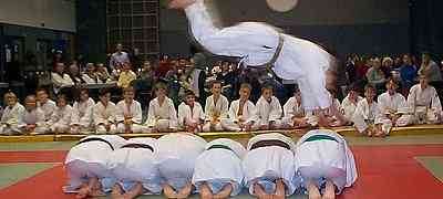 JUDO SHOW 